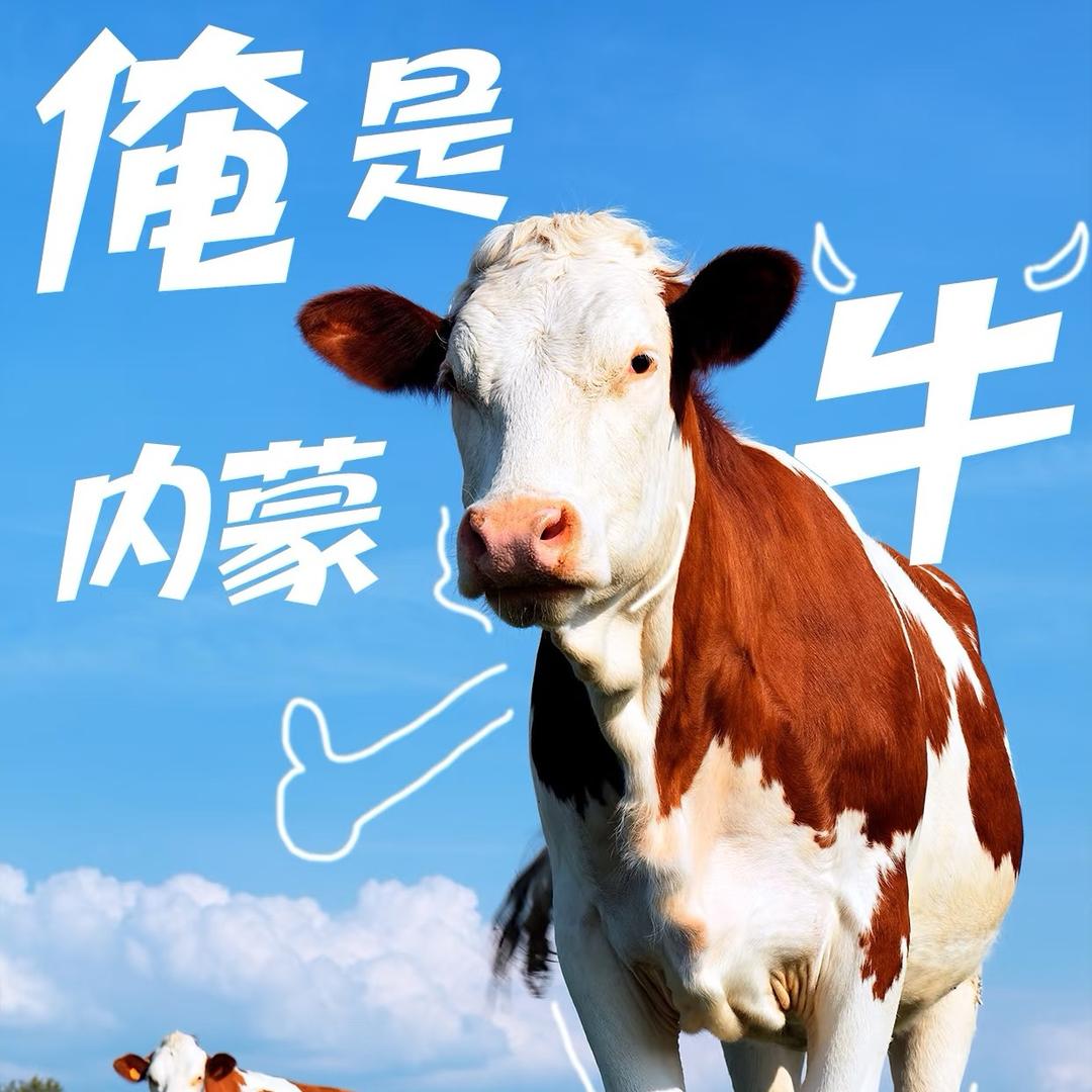 牛肉生鲜明天到