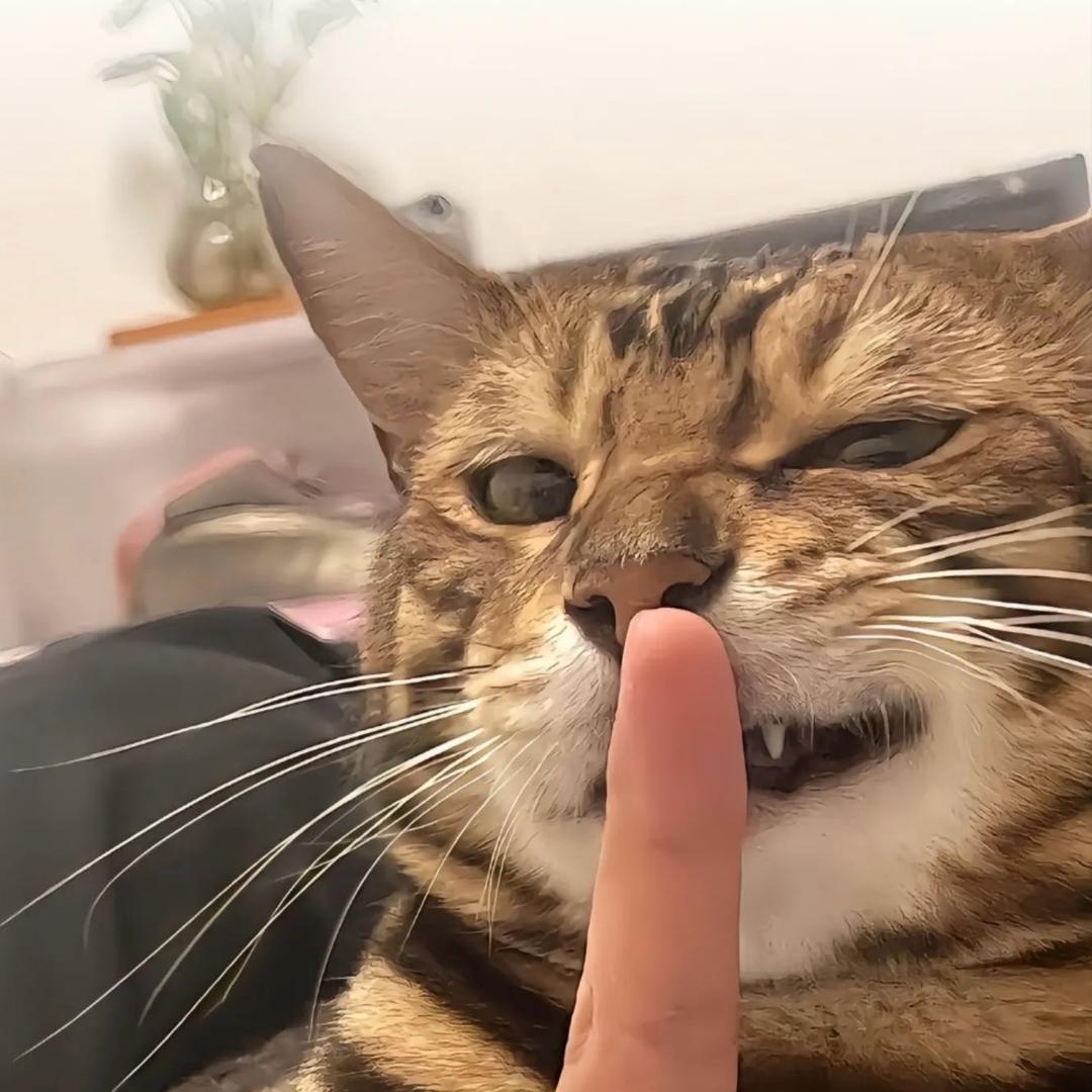 【苹果代言人】