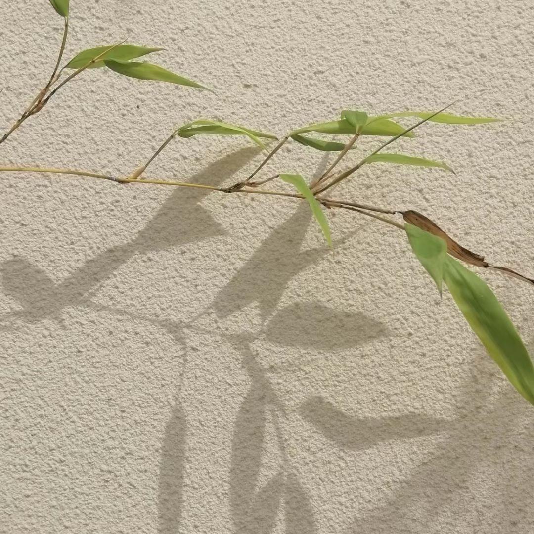南风