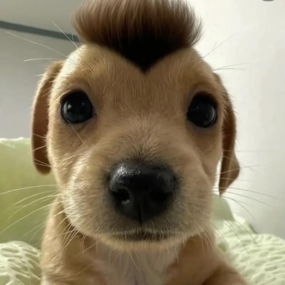 嗯呢^