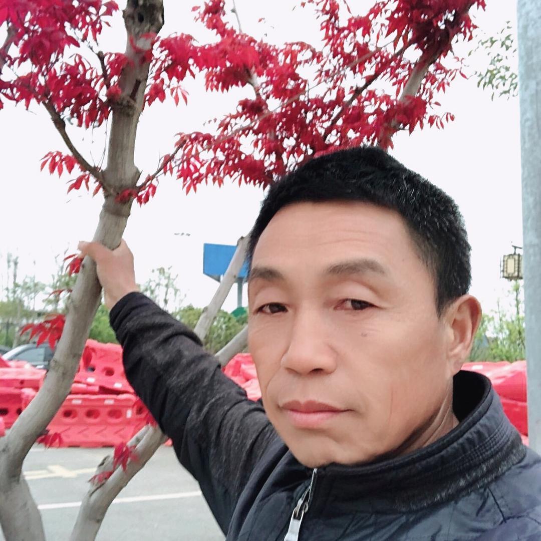 太阳红