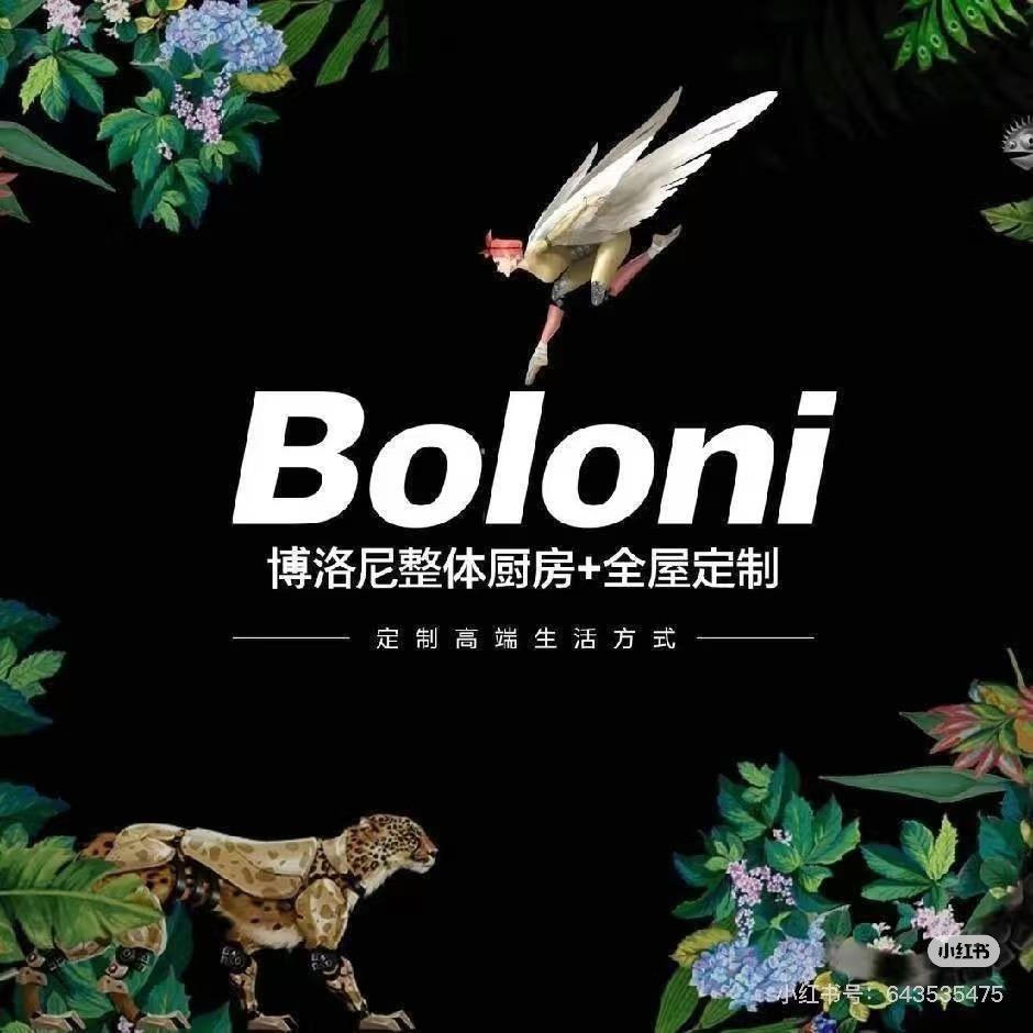 兰州博洛尼全屋定制