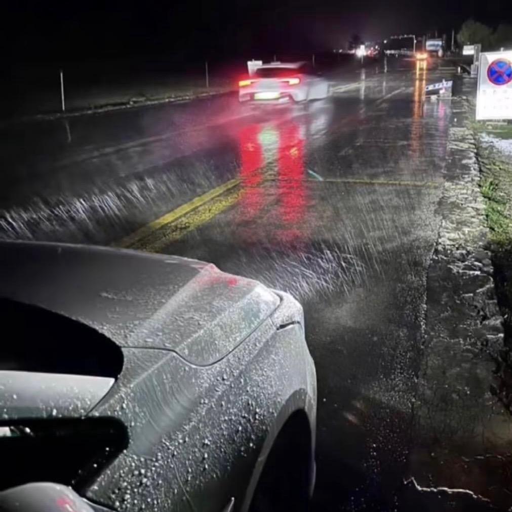 W.（汽车租赁🚗）