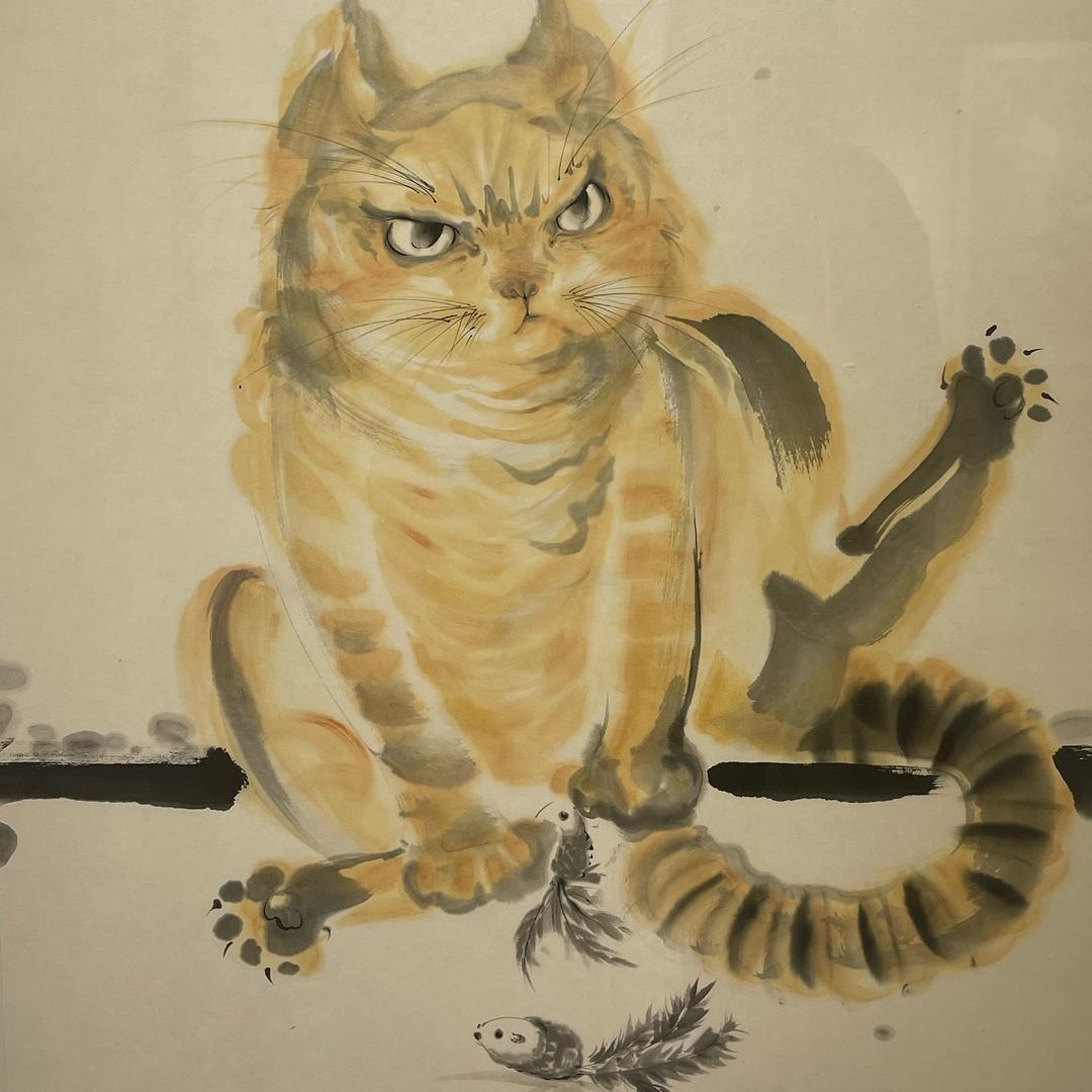 心宽宽