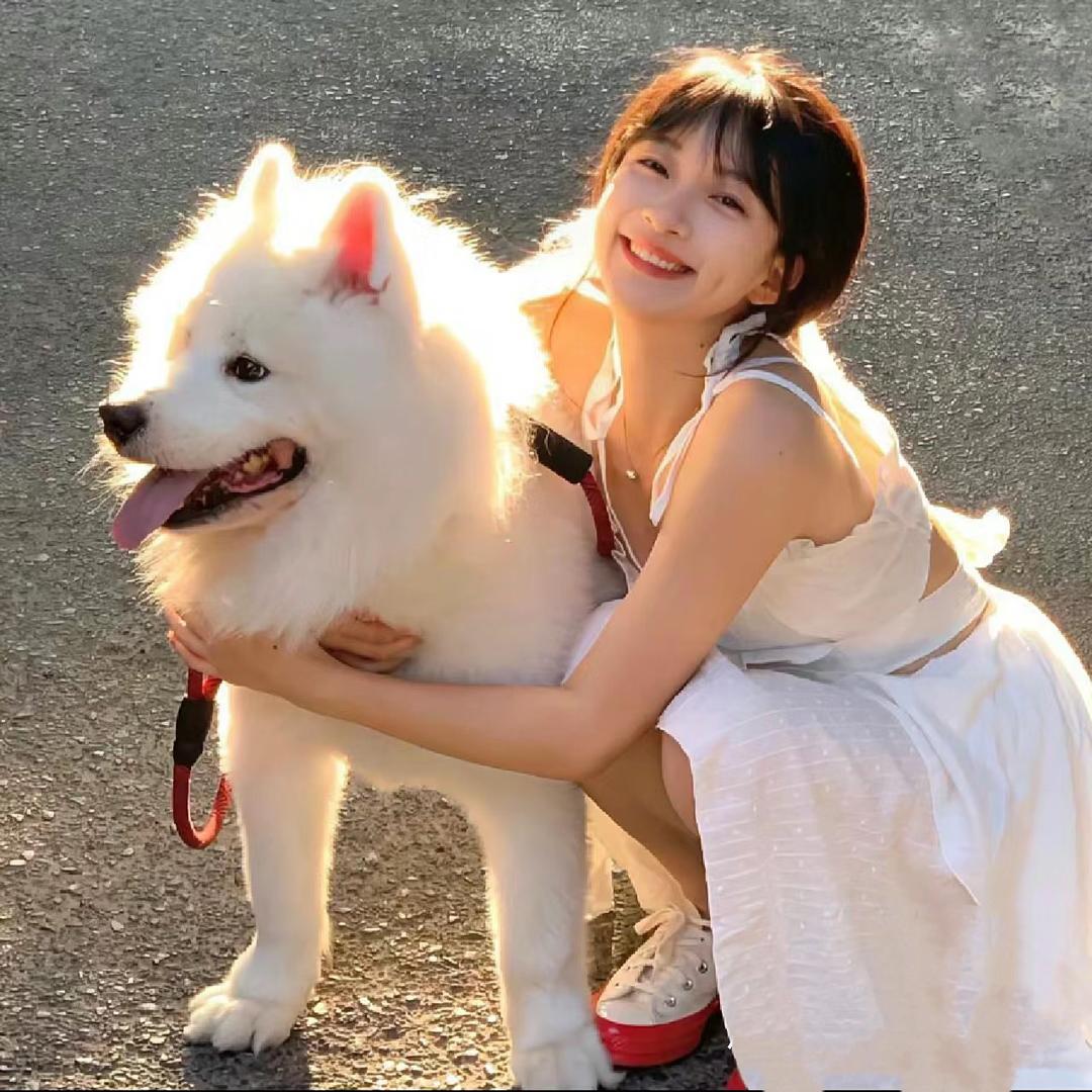 暴躁小馬、