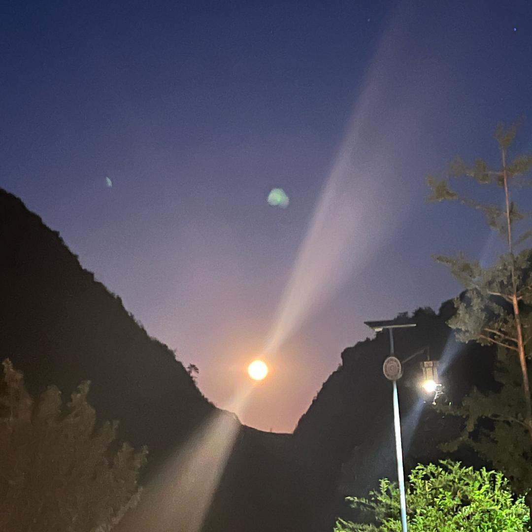 张先生🧑‍🏫