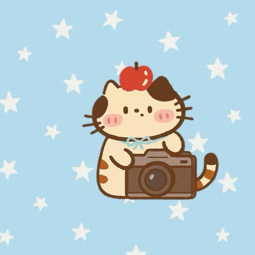 出奇摄胶所🎞️