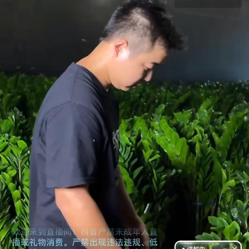 盟鑫