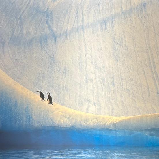 手机用户77183706005