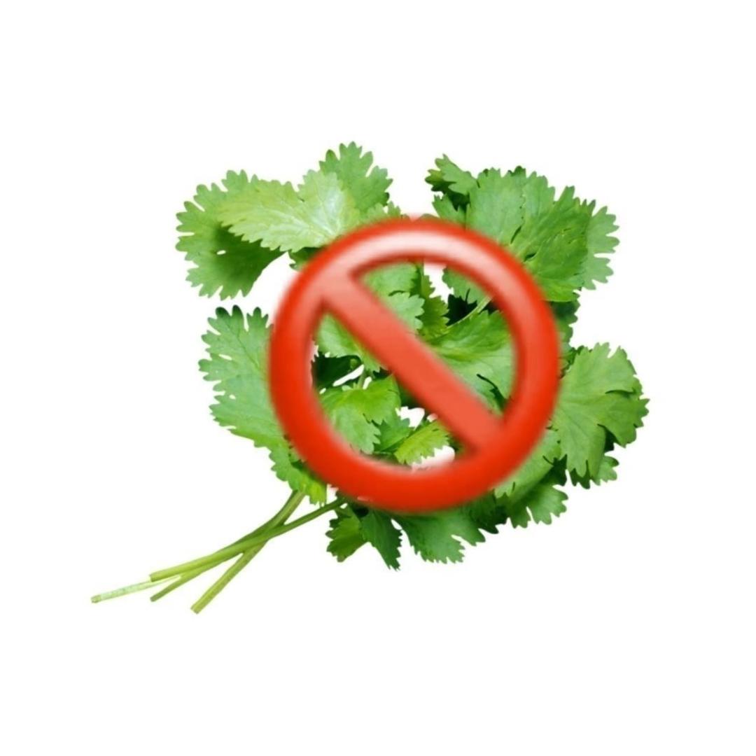 小赵不吃香菜