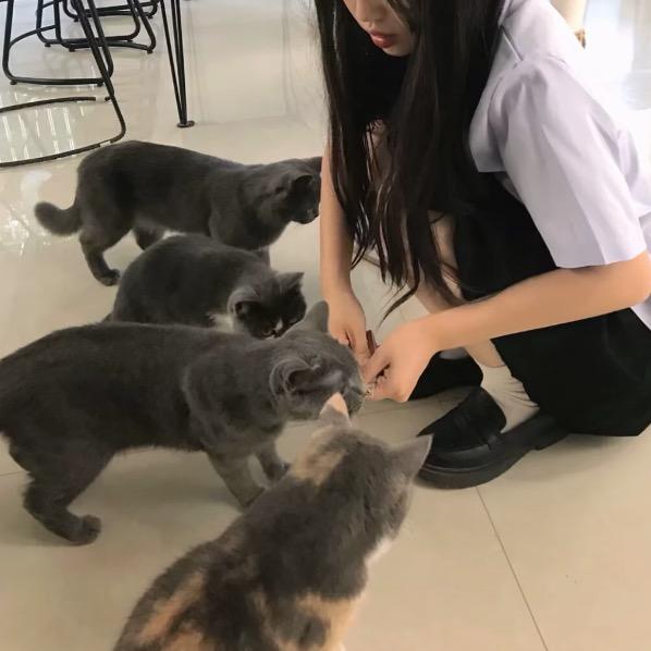 小羊🐑！