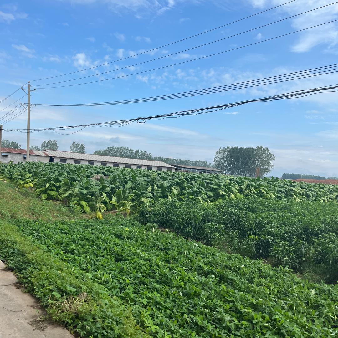 西安诚信通管道疏通有限公司