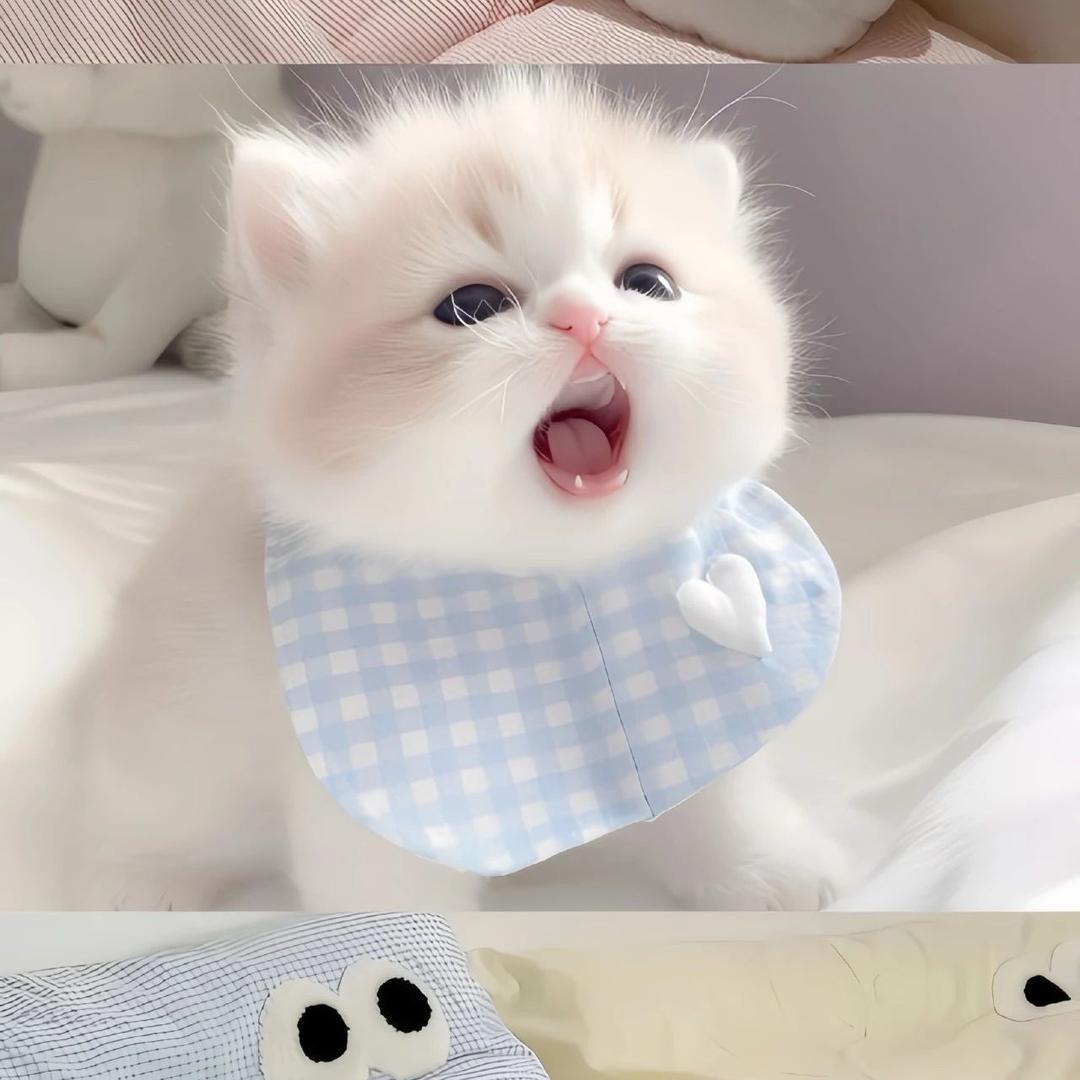 巧巧