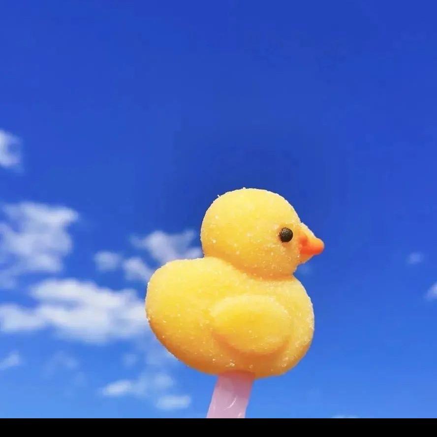 淘淘的童装