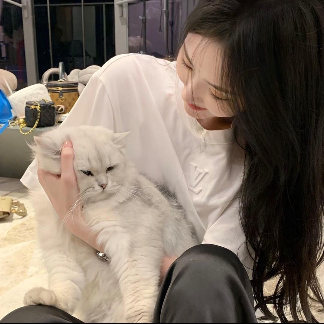 小羽₁₁新人助力