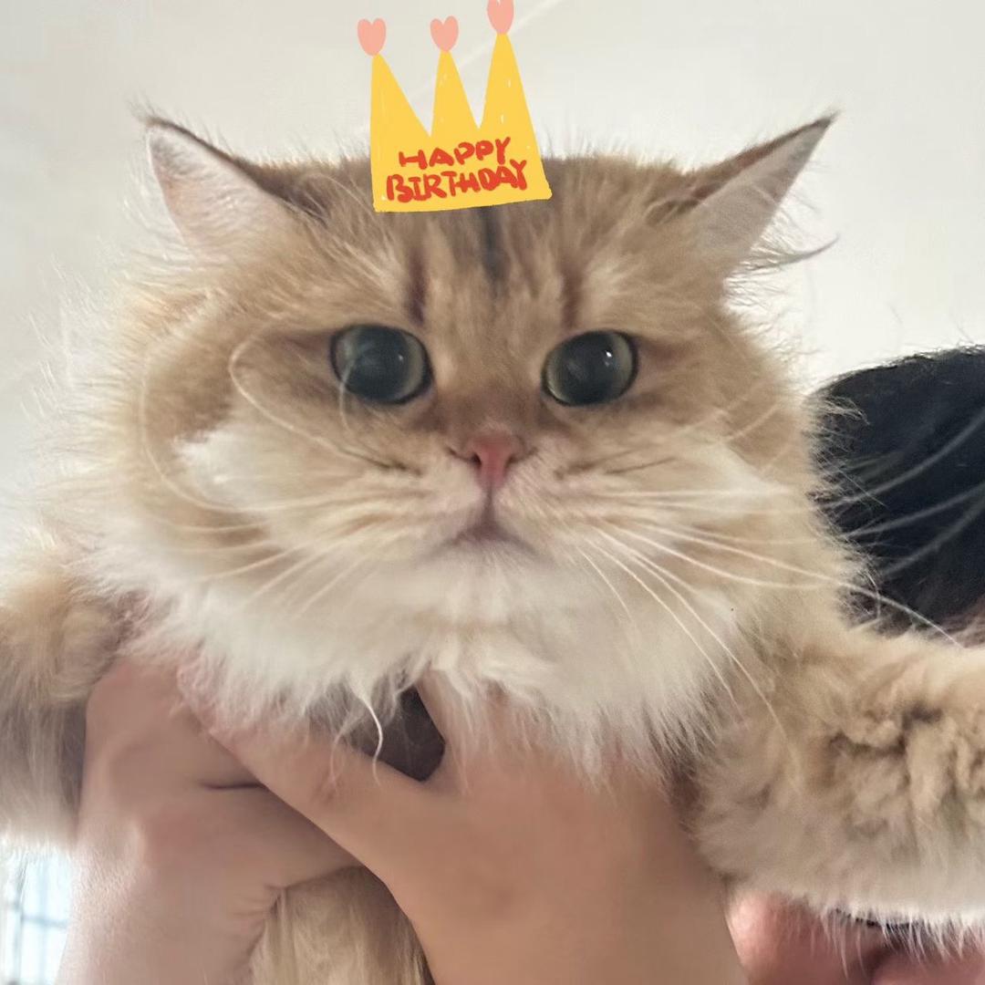 555