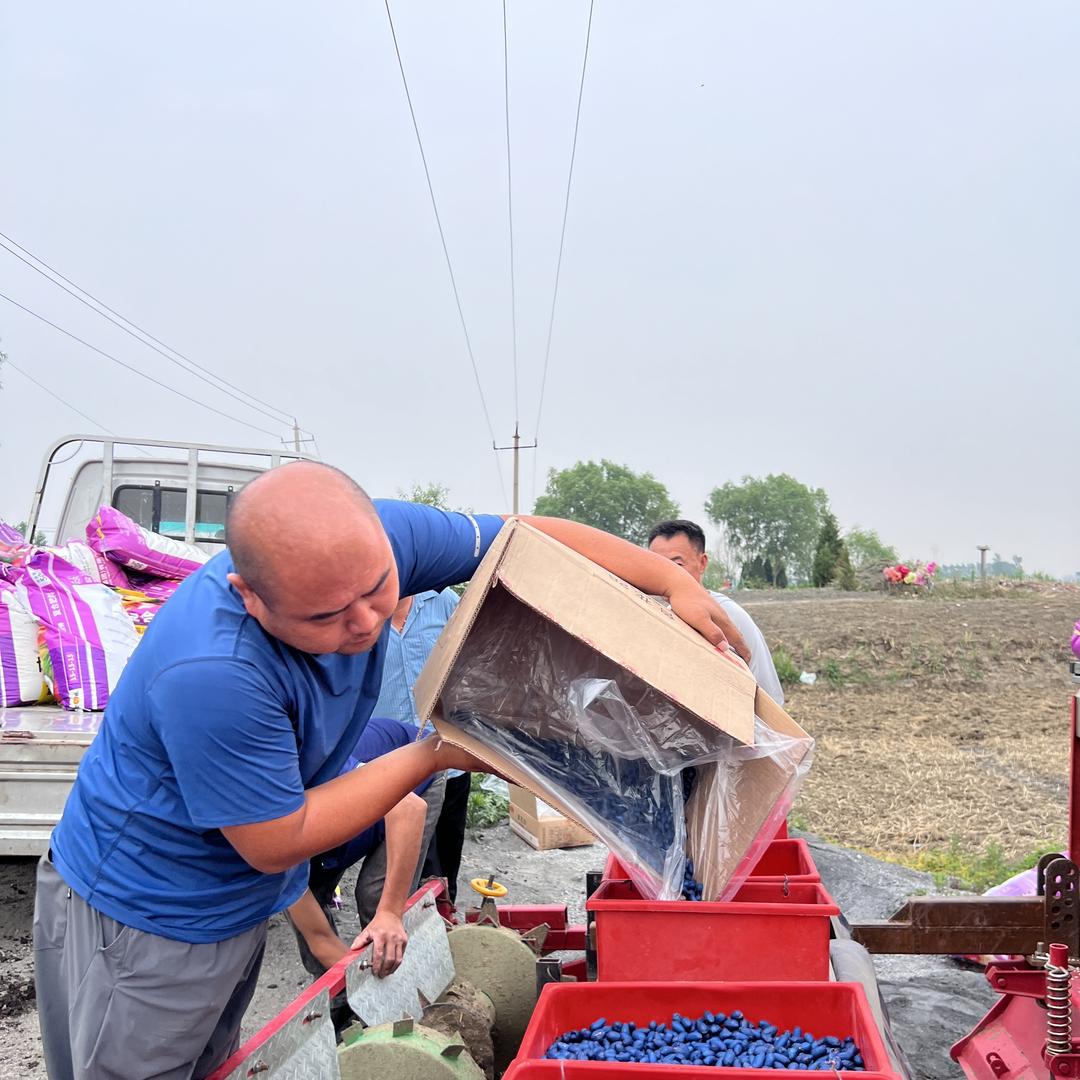 濉溪县矿北街逯冰农资部