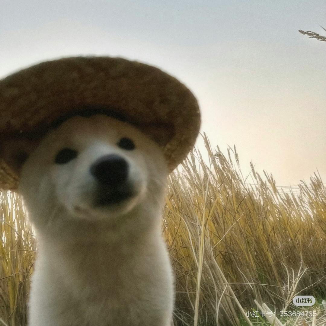予予