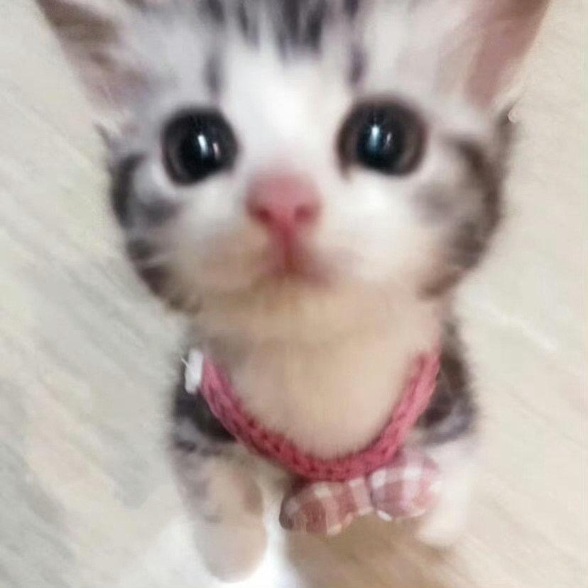 申惟生素A