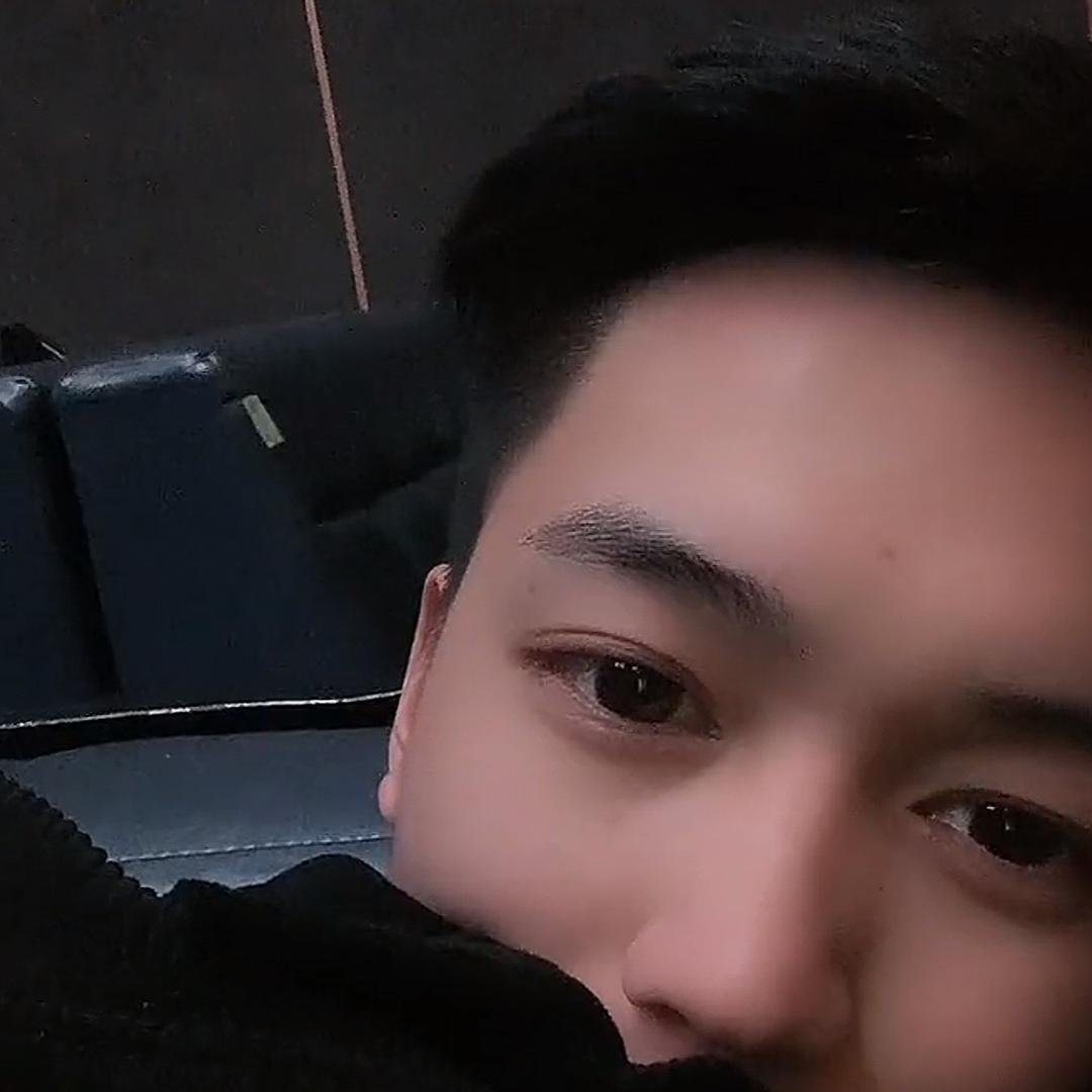 林木木森森