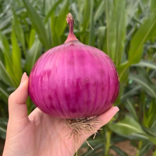 任泽静合宫农产优品店