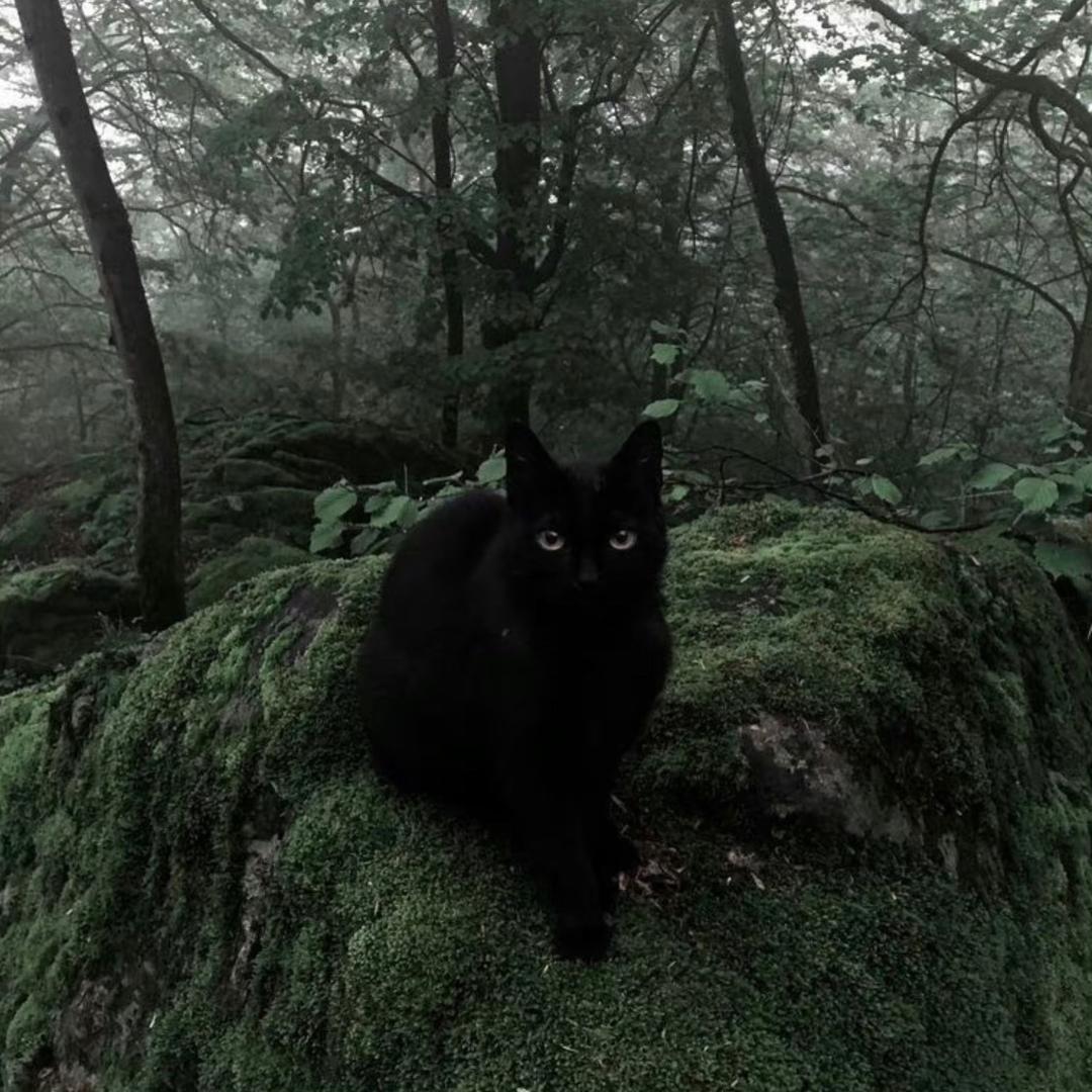 🌧️