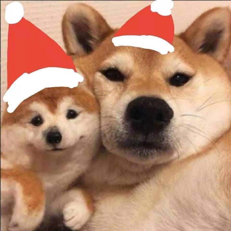 煜壕zZz