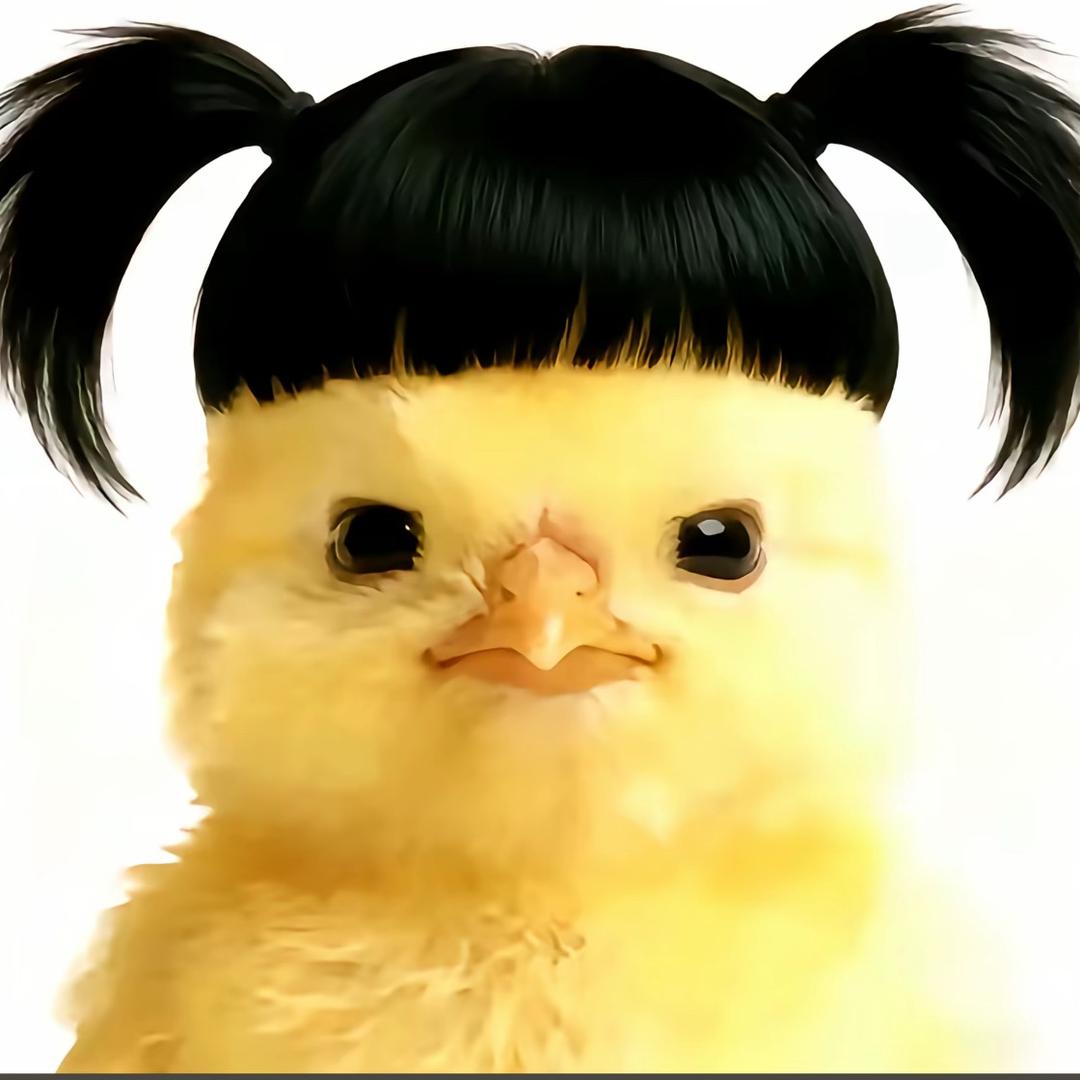 小菜鸟