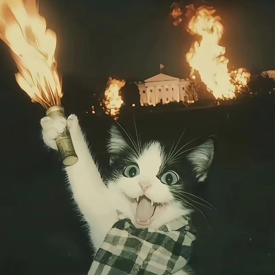鱼香猫丝