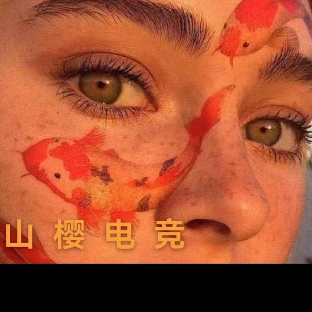 山樱电竞-王者工作室