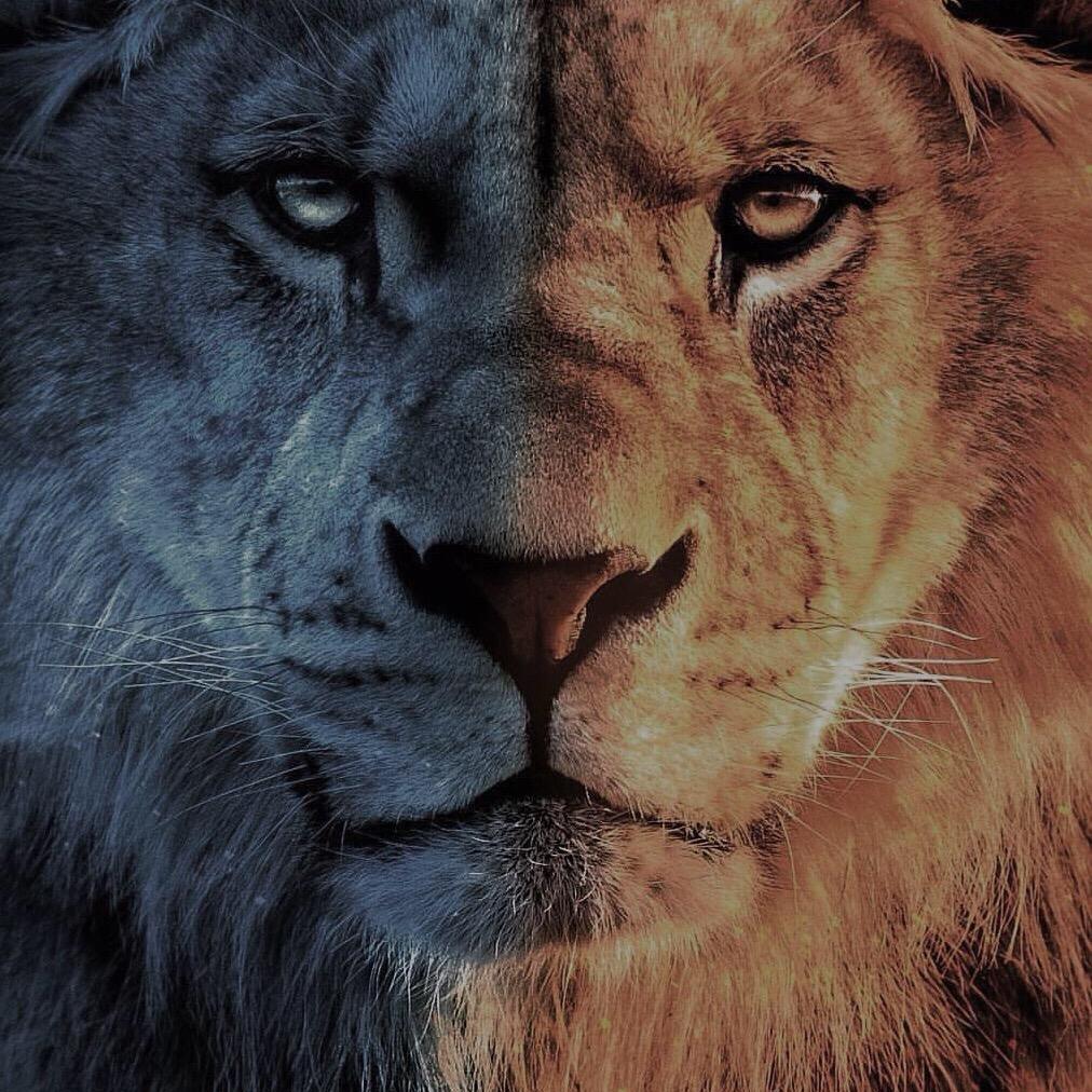 王者荣耀FC欧文