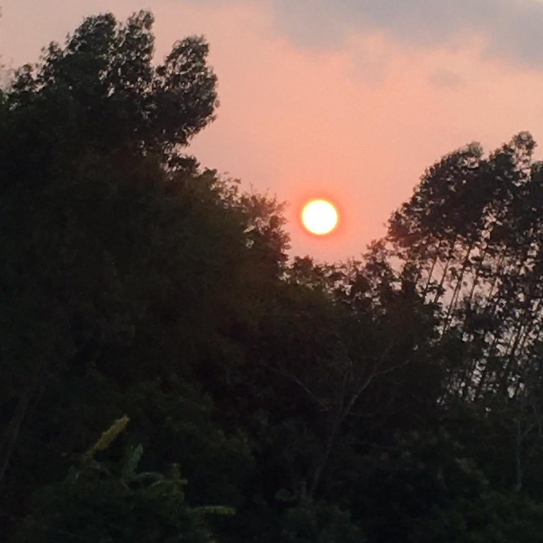 杨继玲