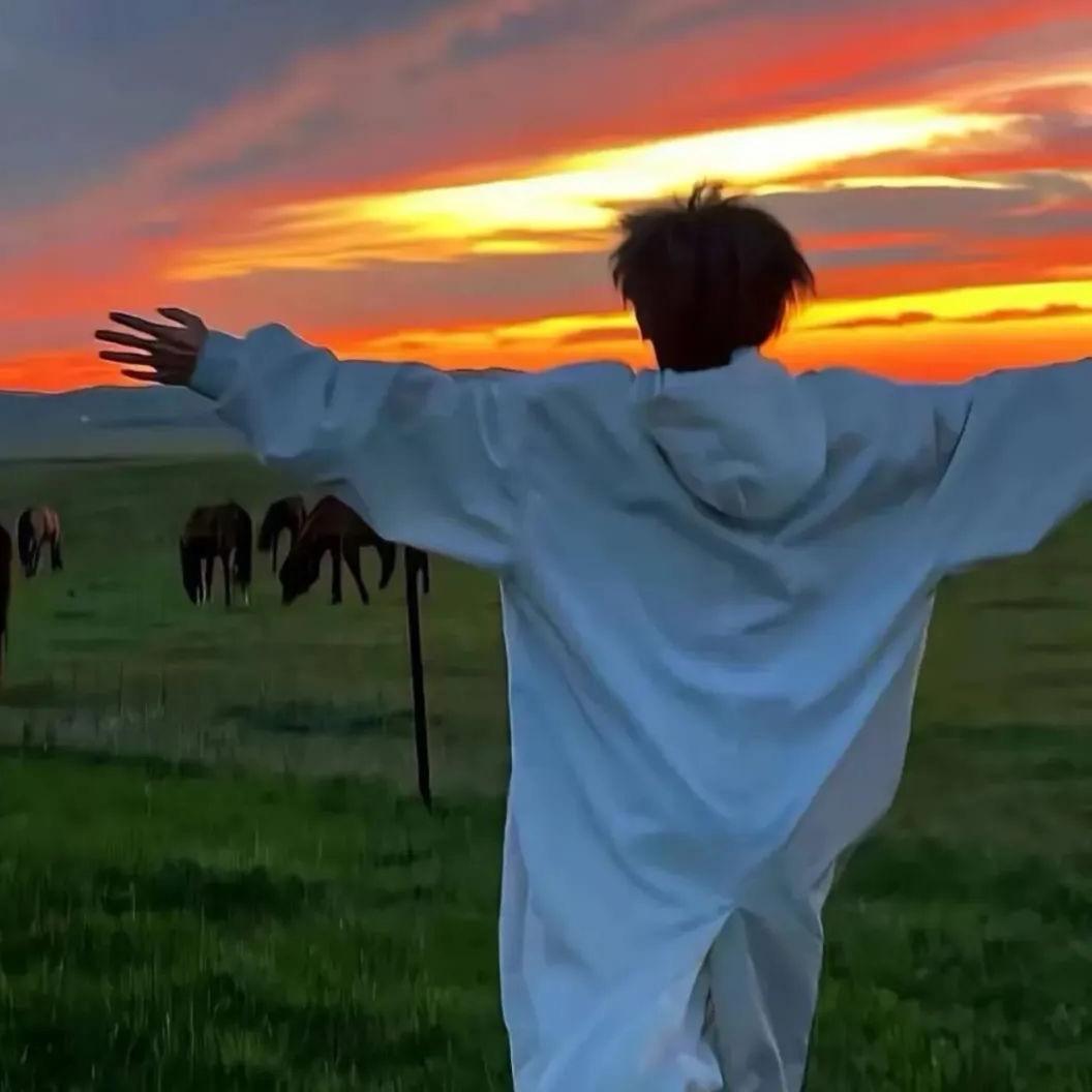 张鹤南（上学版）