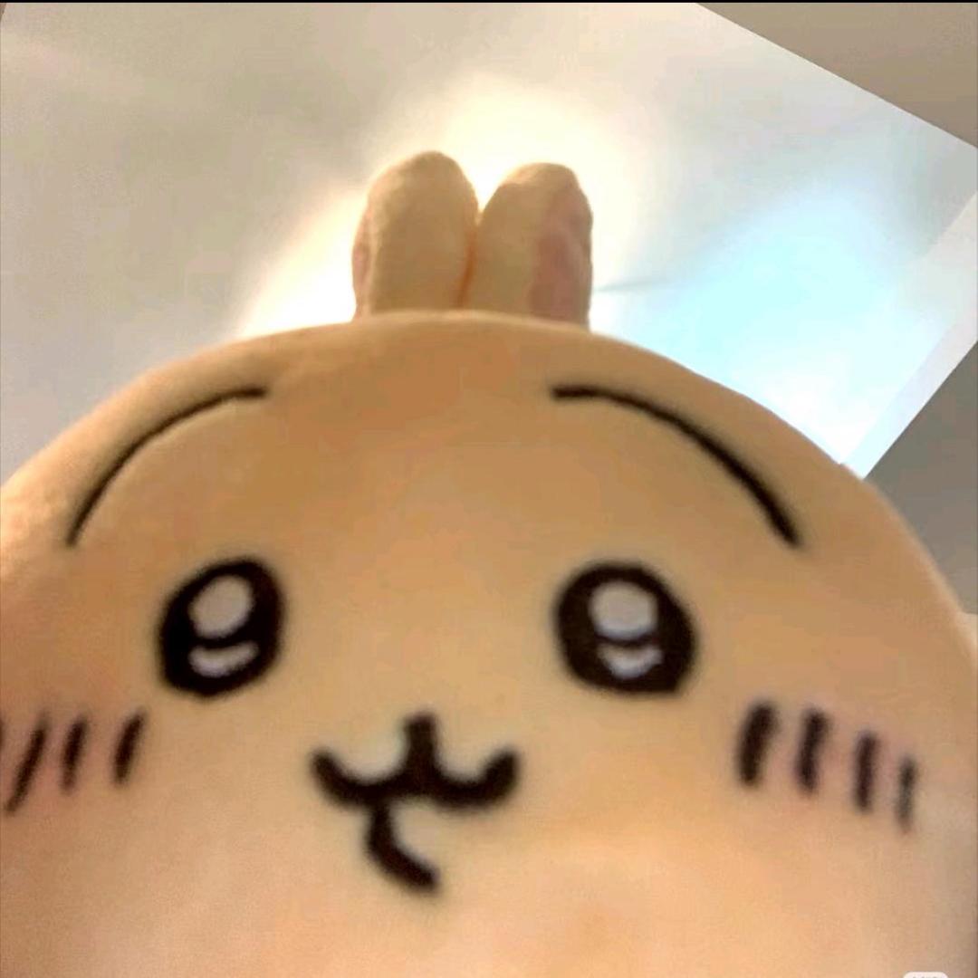 乌萨奇趣蛋