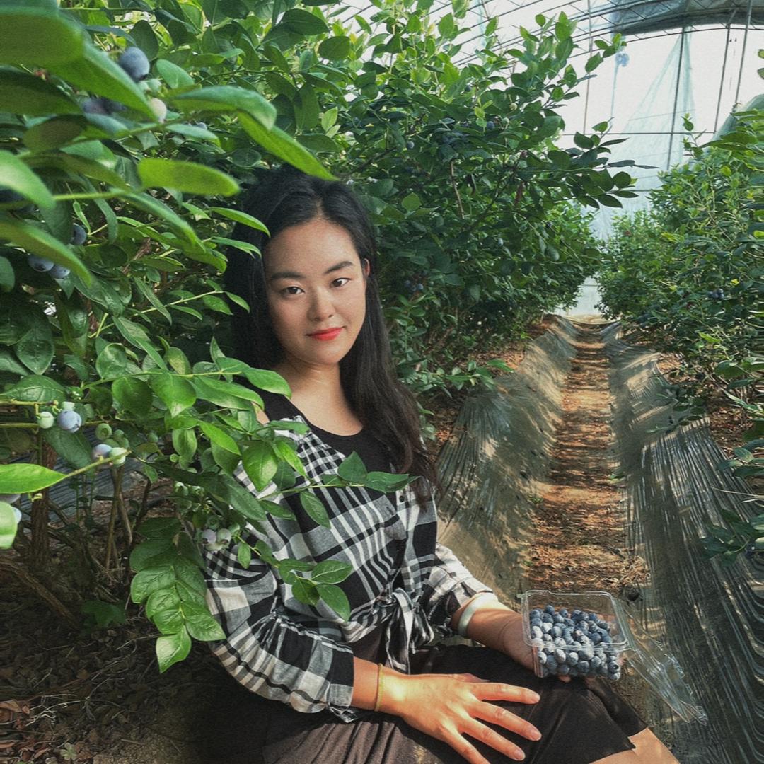 黄岛区溪伟蓝莓种植基地