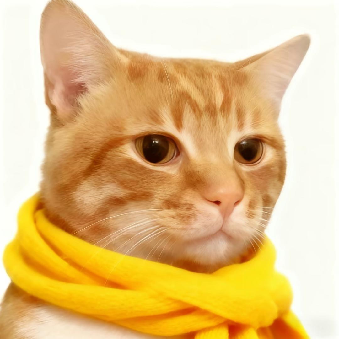 阳光小区北门保安-刘叔