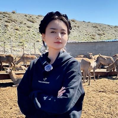 哈尼古丽一鹿有你