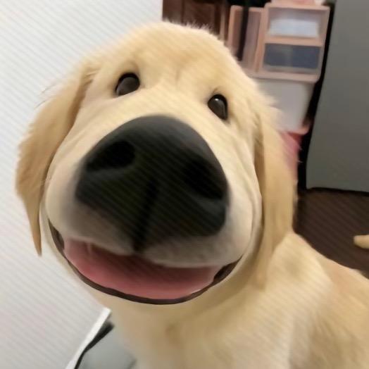 QQ糖^
