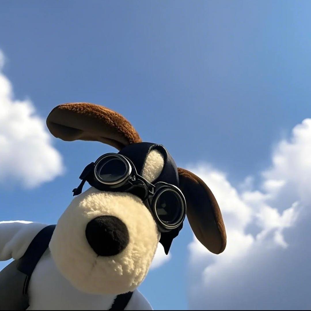 大锐（首播早上5点58）