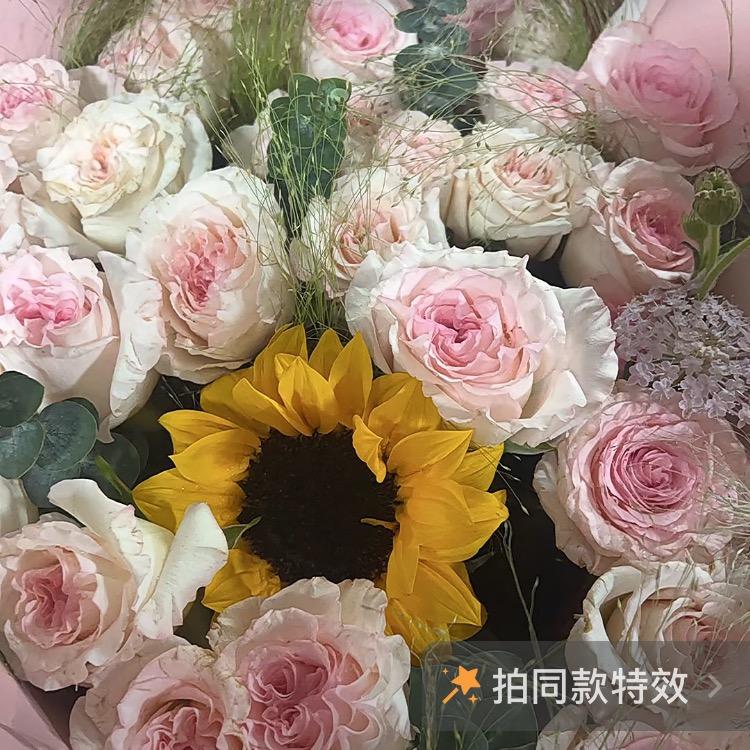 ✨风雨中的诺言✨