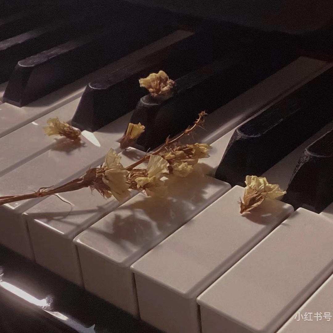 一只颜仔｜钢琴