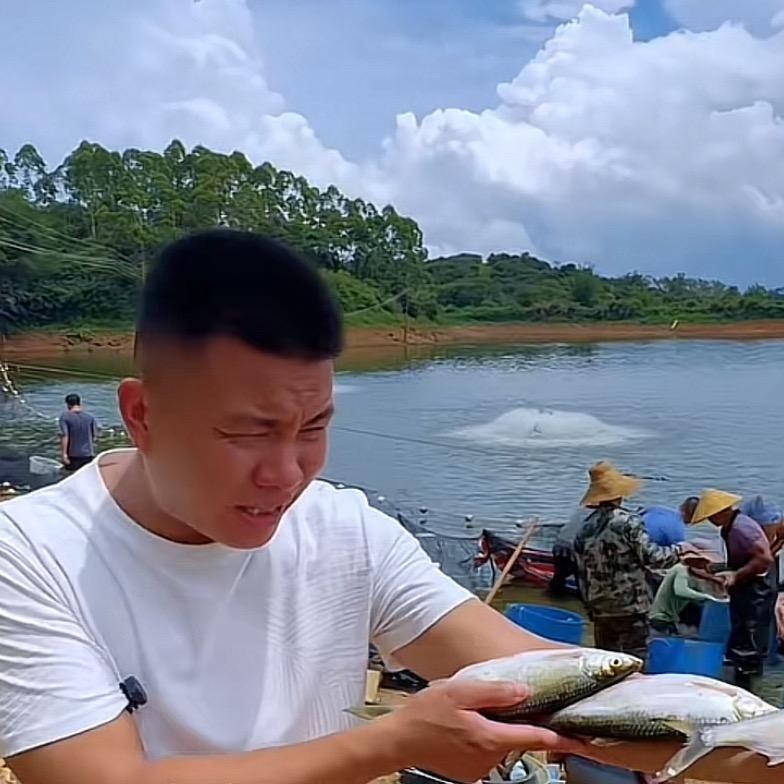 收鱼强子下饭鱼