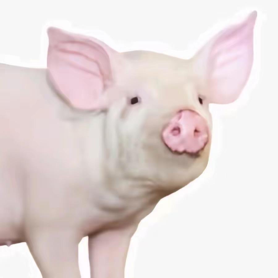 不许说我胖