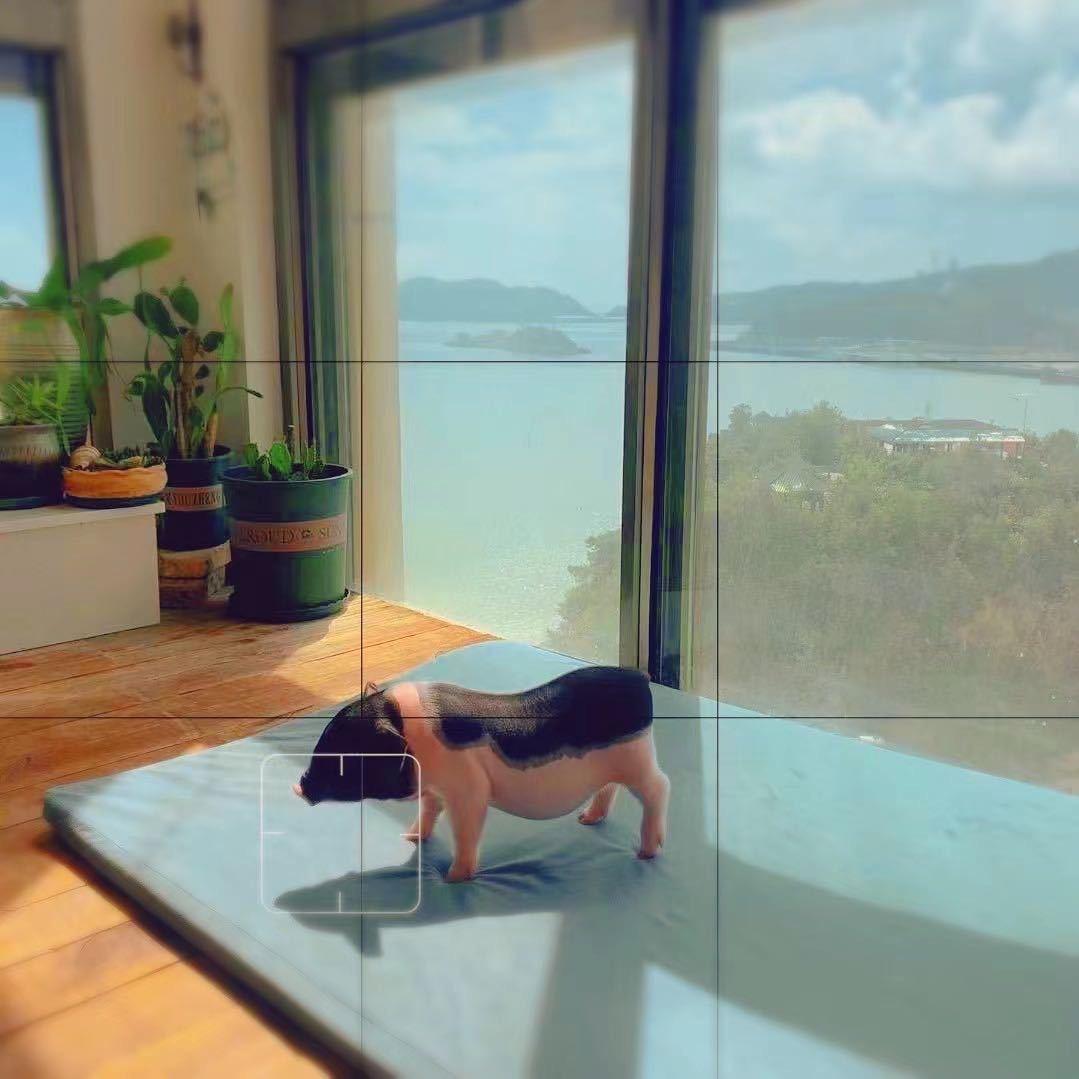 永远的21号球衣