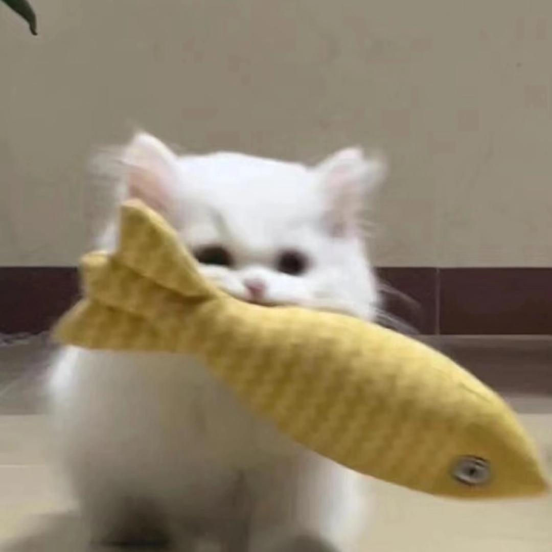 吗喽⭐⭐