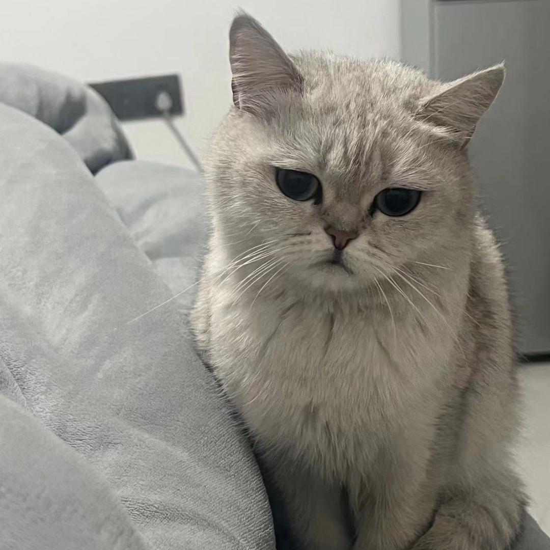 不如意