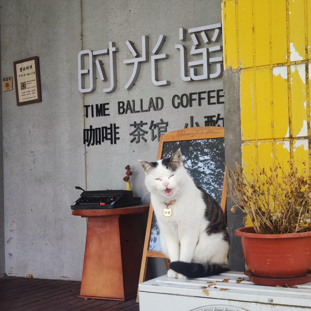 时光谣咖啡*茶馆