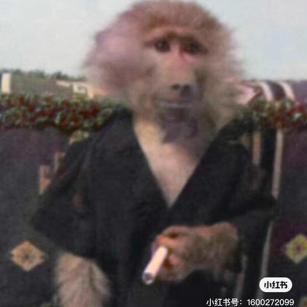 辣鱼核桃