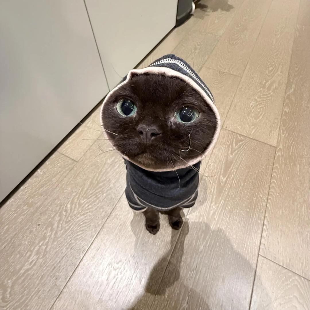 TizzyT