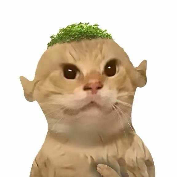 南美鹿豆